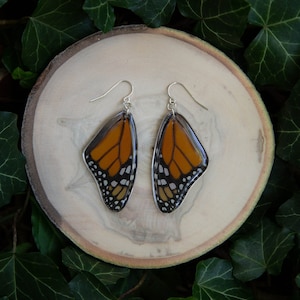 May include: A pair of silver butterfly wing earrings with orange, black, and white details. The earrings are displayed on a wooden surface.