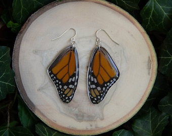 Monarch Butterfly - dangle earrings, real butterfly wings, magic, fairy, handmade, lightweight, archival resin, ethically sourced