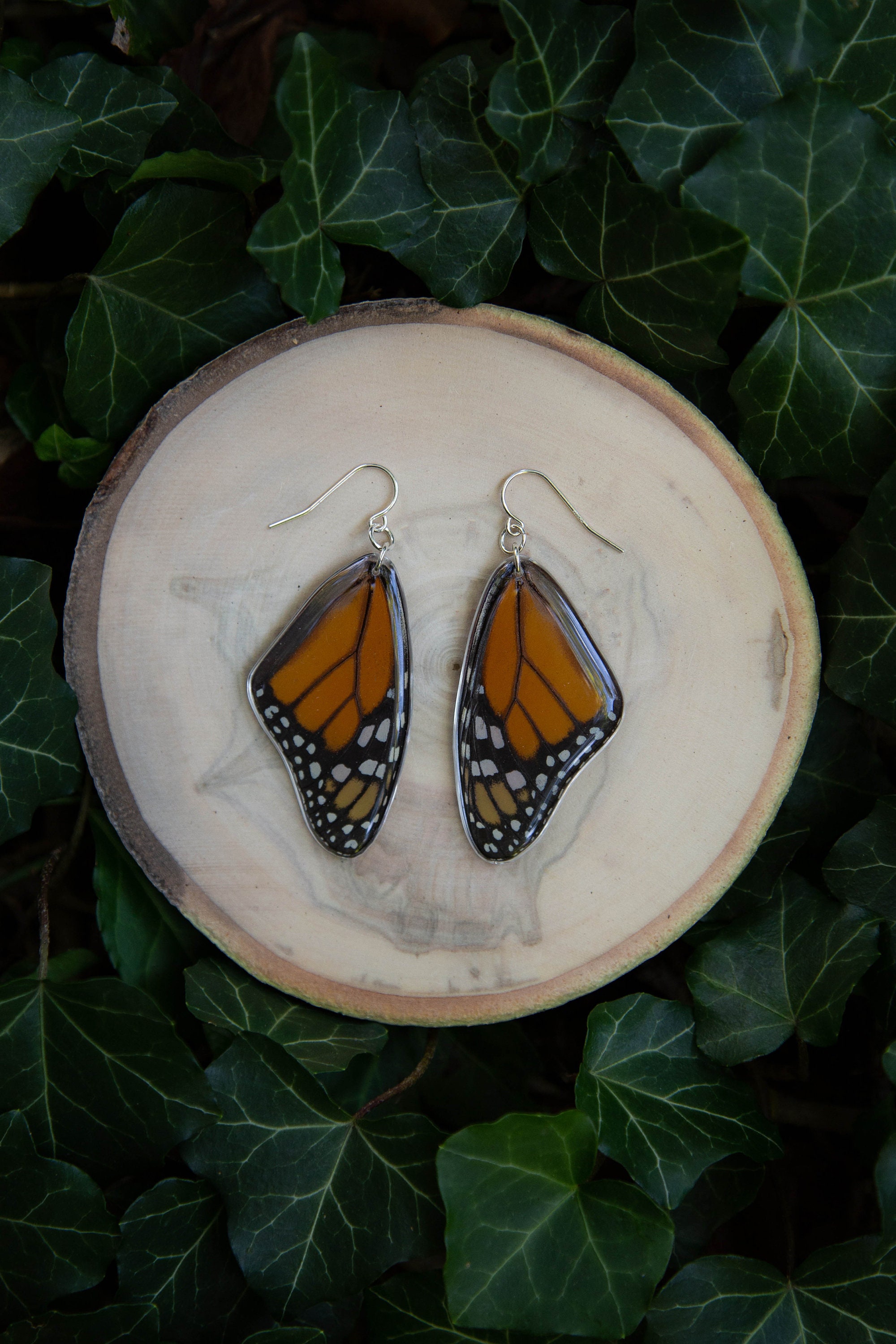 Monarch Butterfly - dangle earrings, real butterfly wings, magic, fairy, handmade, lightweight, archival resin, ethically sourced