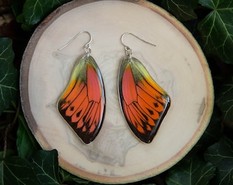 Brimstone Wing Butterfly - dangle earrings, real butterfly wings, magic, fairy, handmade, lightweight, archival resin, ethically sourced