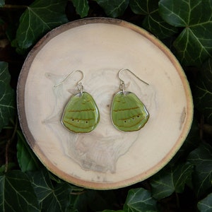 Olivewing Butterfly - dangle earrings, real butterfly wings, magic, fairy, handmade, lightweight, archival resin, ethically sourced