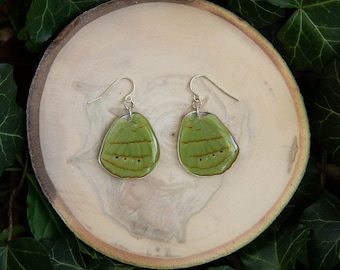 Olivewing Butterfly Earrings – Real Wing Sterling Silver Dangles