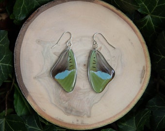 Olivewing Butterfly Wing Earrings – Sterling Silver, Handmade Resin Dangles