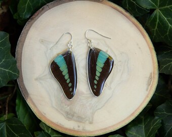 Blue Bottle Butterfly Wing Earrings – Sterling Silver Dangle, Ethically Sourced