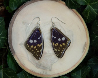 Great Purple Butterfly earrings