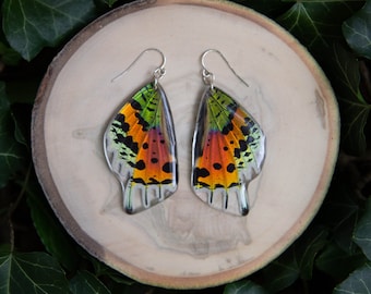 Sunset Moth - dangle earrings, real moth wings, magic, fairy, handmade, lightweight, archival resin, ethically sourced