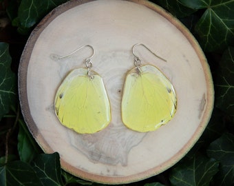 Brimstone Butterfly Wing Earrings - Sterling Silver, Handmade