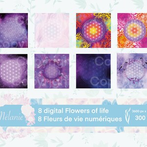 8 fleur de vie violette  télécharger.Digital Flower of life.Géométrie sacrée qui dynamise l’eau et vos pierres. Dessous de verre numériques