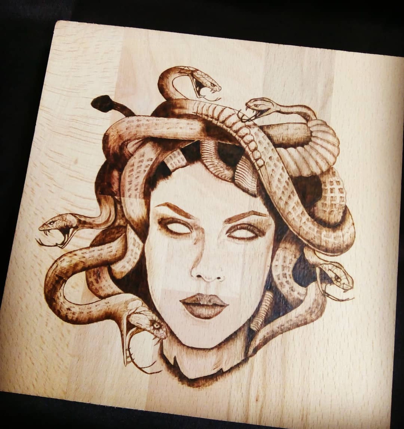 Medusa Wall Decor Greek Mythology Wall Art Dark Academia Etsy Canada