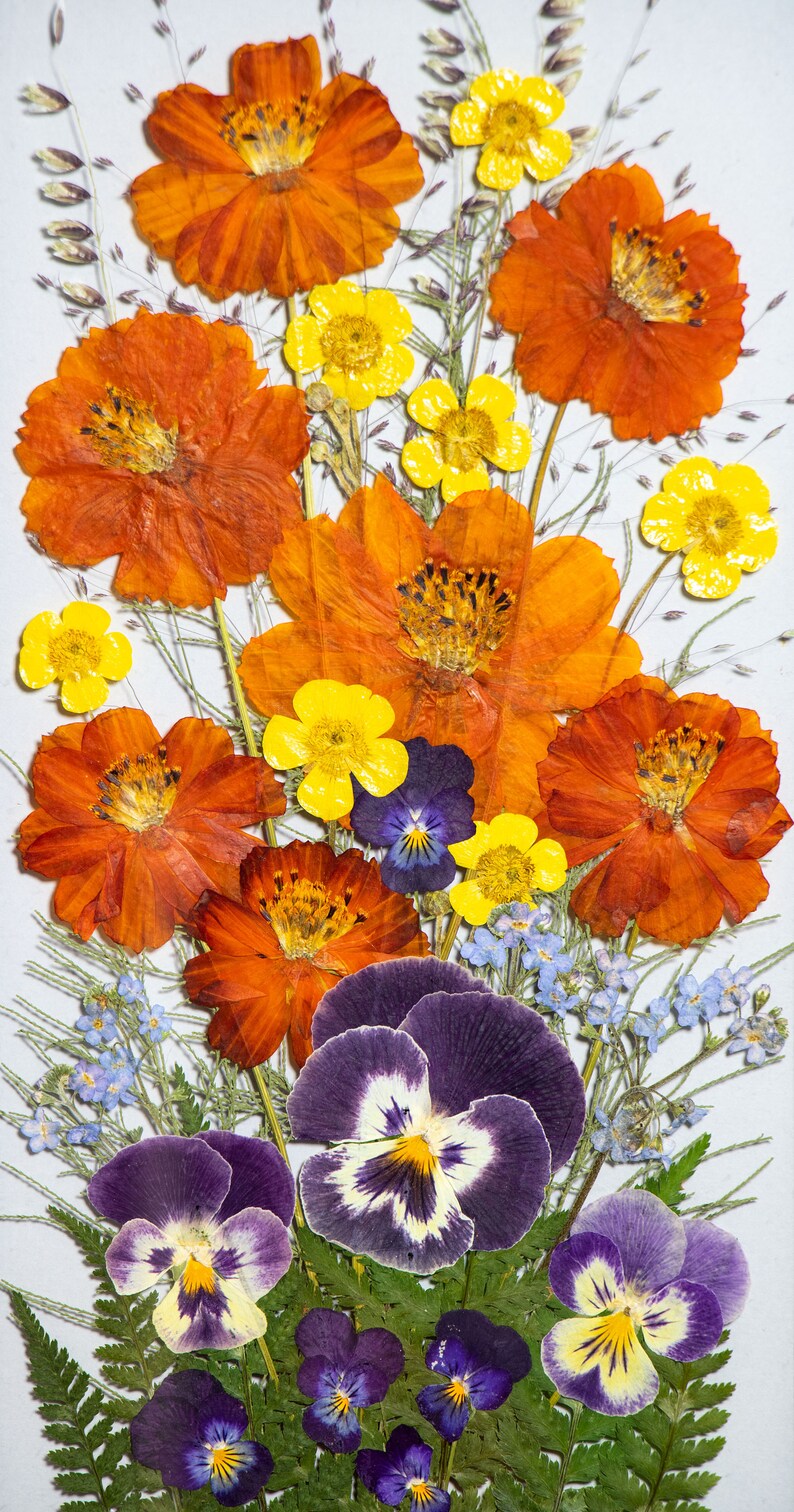 Pressed Flowers Framed Pressed Flower Art Dried Flower Double Etsy