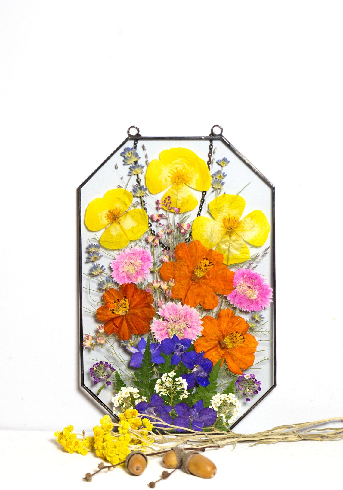 Framed Pressed Flowers Decor. Original Herbarium. Dry Flower A Etsy