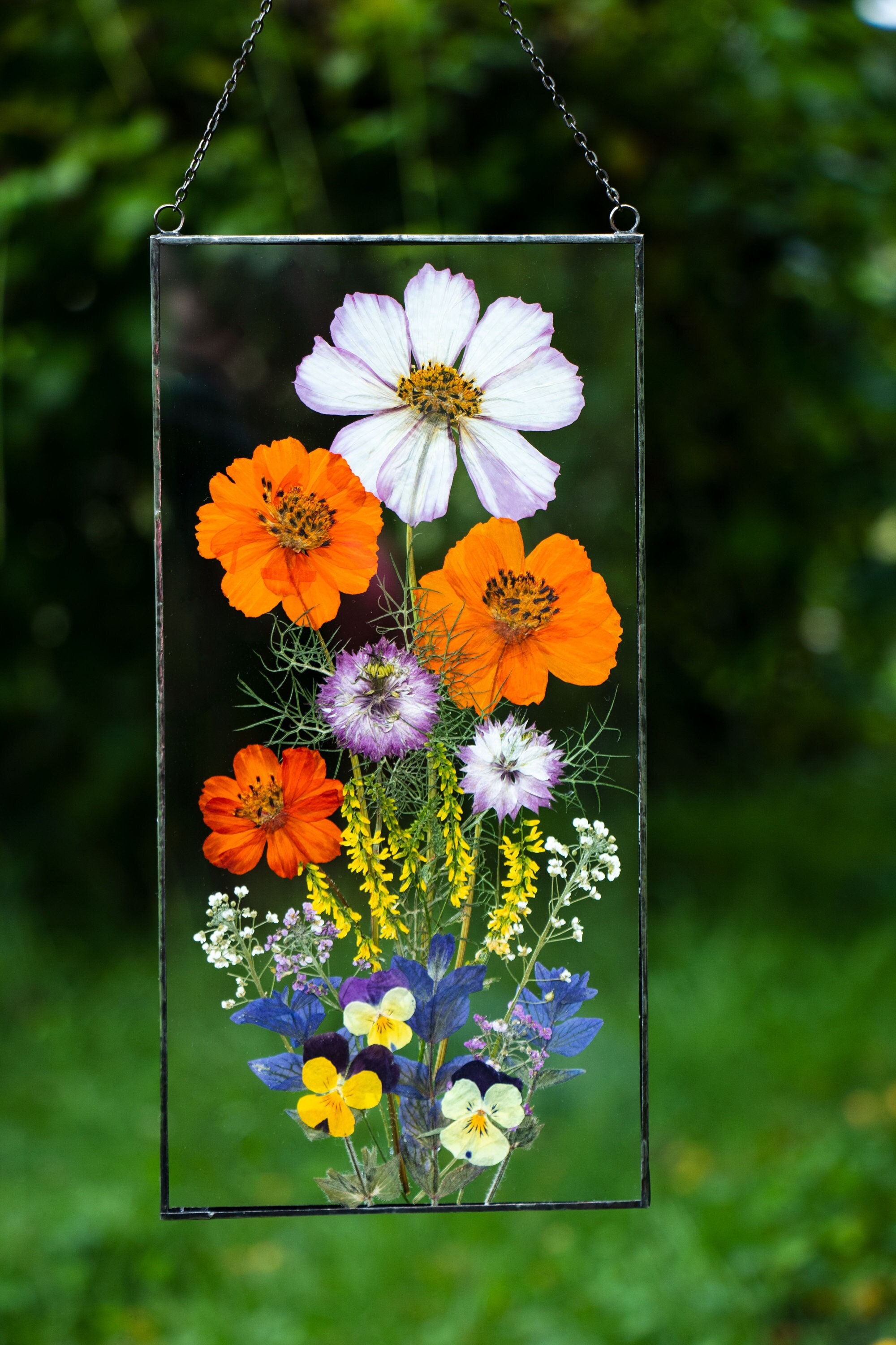 Pressed flower frame Real pressed Dry flower Herbarium frame Etsy