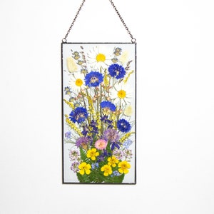 Pressed flower frame Framed Pressed flowers,  Large Dried Flowers Office wall decor Dried flower frame Double glass frame daisy Glass Decor,