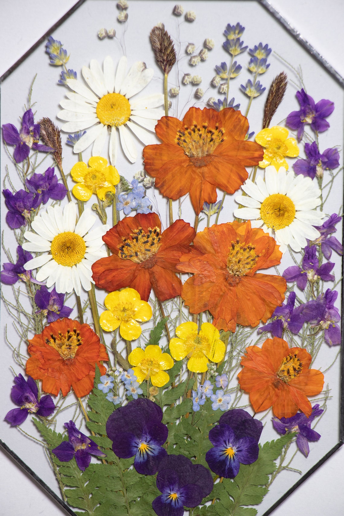 Pressed Flower Frame Pressed Flower Art Flower Frame Etsy