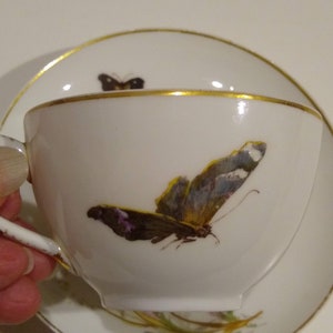 May include: A white porcelain teacup and saucer with a gold rim. The cup features a hand-painted butterfly with brown, purple, and blue wings. The saucer has a smaller butterfly and a floral design.