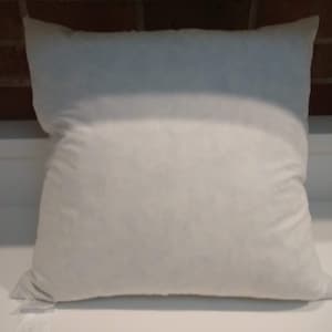 Vintage Duck Feather 20&quot; x 20&quot; Square Pillow Insert