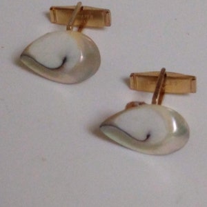 Pair Vintage Teardrop Real or Faux Abalone Cufflinks, Gold Tone Fittings