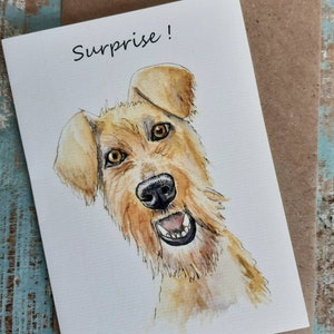 SURPRISE !! IRISH TERRIER Dog greetings card. Terrier