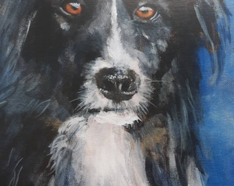 BORDER COLLIE / SHEEPDOG  Blank Greetings Card from original acrylic artwork by Sara Tuckey