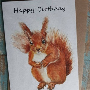 Buon compleanno SCOIATTOLO Biglietto di auguri SCOIATTOLO ROSSO natura fauna selvatica