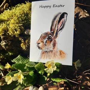Buona Pasqua HARE Biglietti di auguri natura fauna selvatica BROWN HARE
