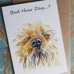BRUTTA GIORNATA DEI CAPELLI? Biglietto d'auguri per cani Red Terrier. Irish terrier.cane trasanduto
