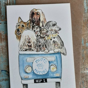 MOTORMUTTS VW CAMPERVAN cães Cartão de felicitações em branco, collie barbudo, komondor, wolfhound, deerhound, Afghan Hound, Puli, lurcher, Berger Picardie