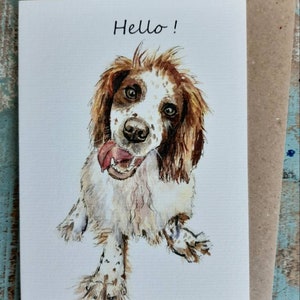 SPRINGER SPANIEL BONJOUR !l Carte de voeux pour chien. Anniversaire Anniversaire Bonjour