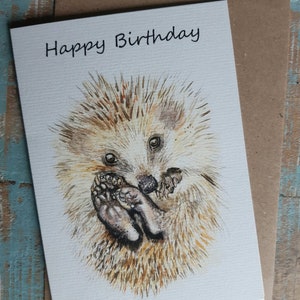 Buon compleanno RICCIO Biglietto di auguri Natura Fauna selvatica britannica