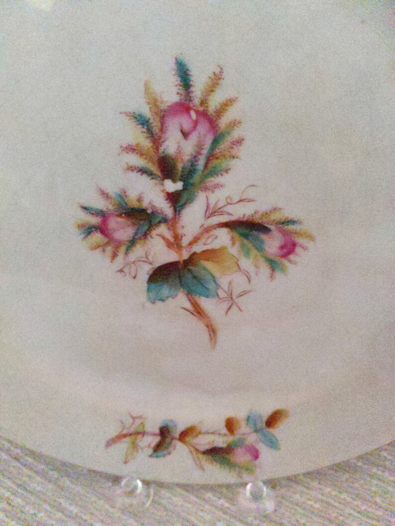 Antique Warranted Ironstone China Ott & Brewer Etruria Etsy