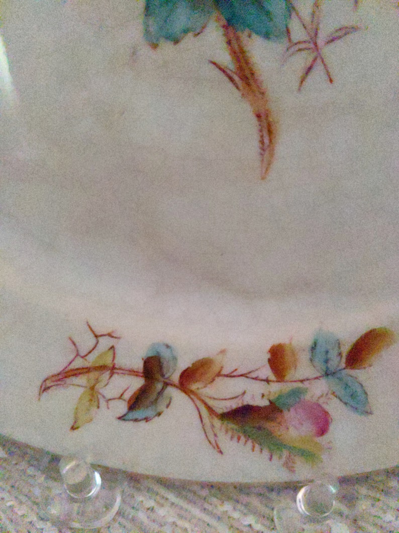 Antique Warranted Ironstone China Ott & Brewer Etruria Etsy