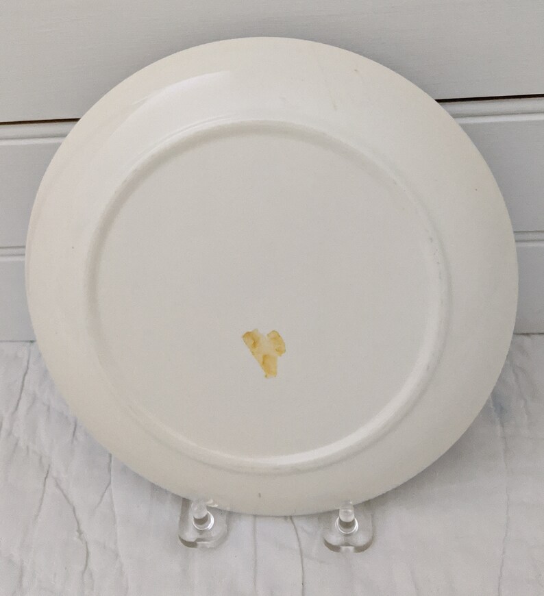 featuring the Mayo Clinic Vintage Rochester Minnesota Souvenir Plate