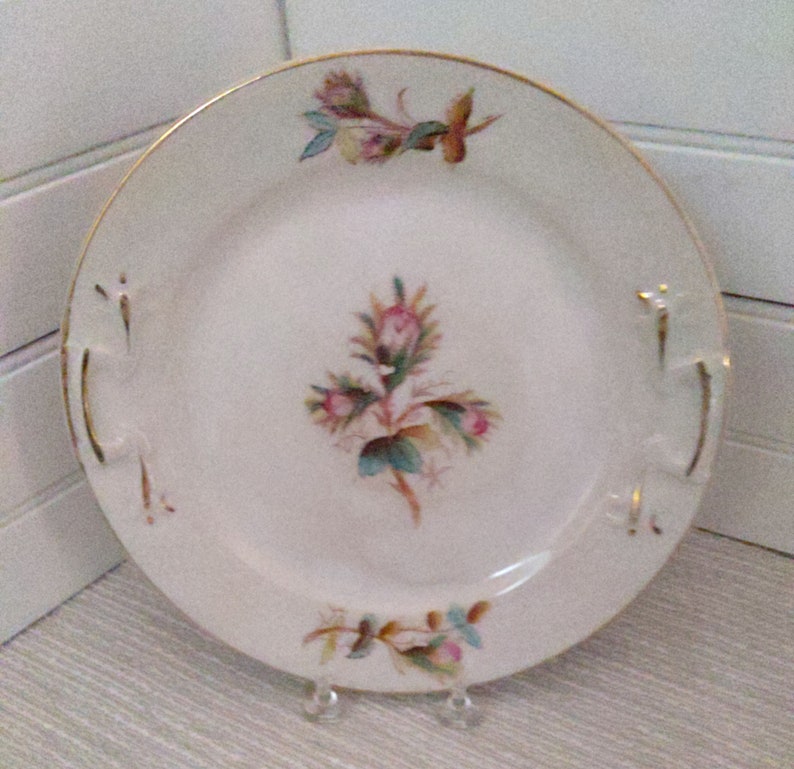 Antique Warranted Ironstone China Ott & Brewer Etruria Etsy