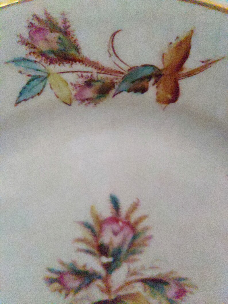 Antique Warranted Ironstone China Ott & Brewer Etruria Etsy