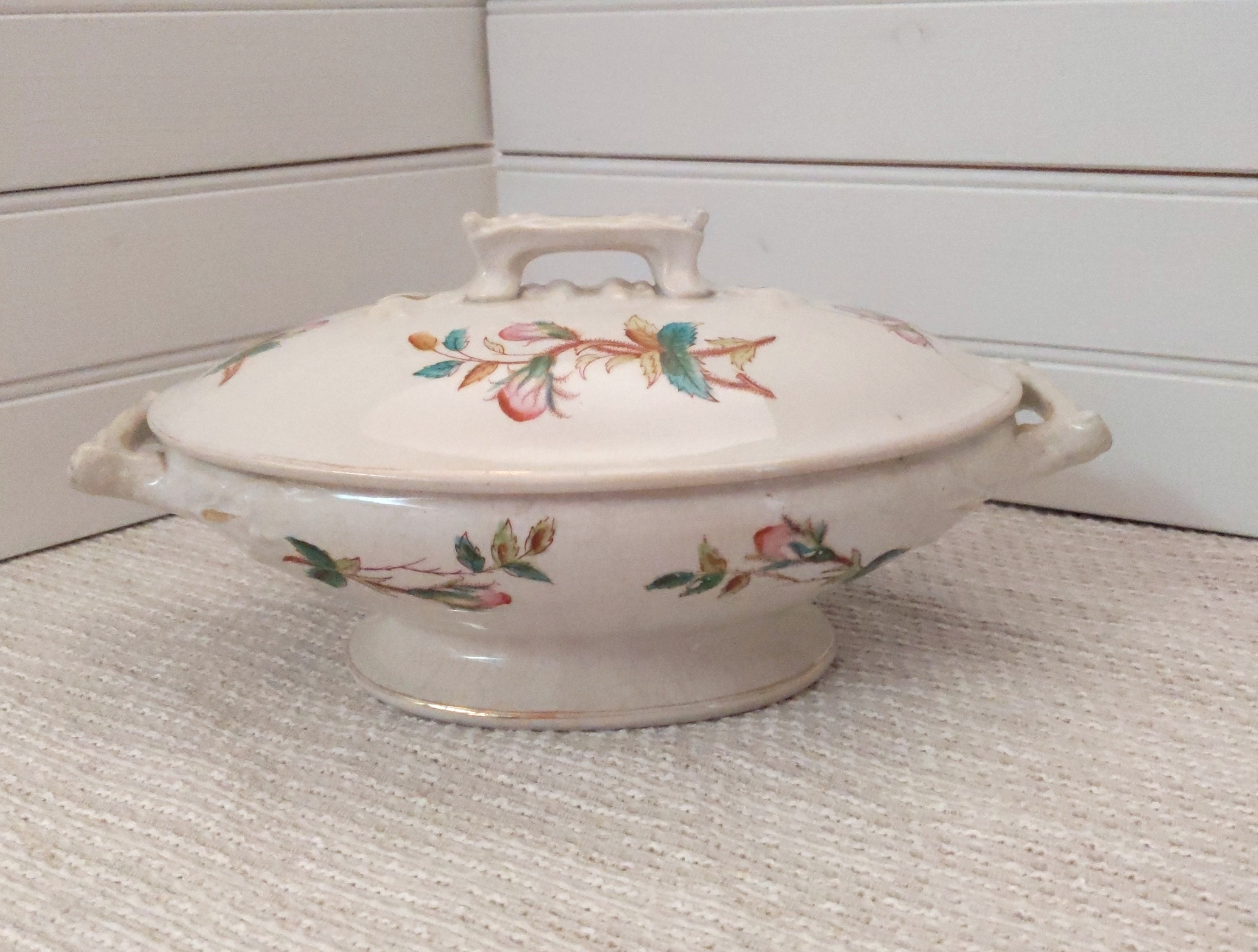 Antique Warranted Ironstone China Ott & Brewer Etruria Etsy