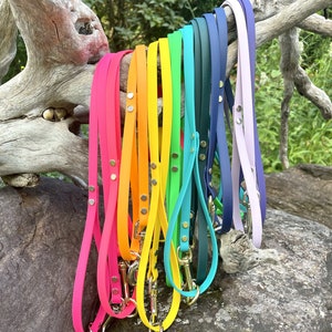 BioThane® 1/2&quot; Waterproof Dog Leash