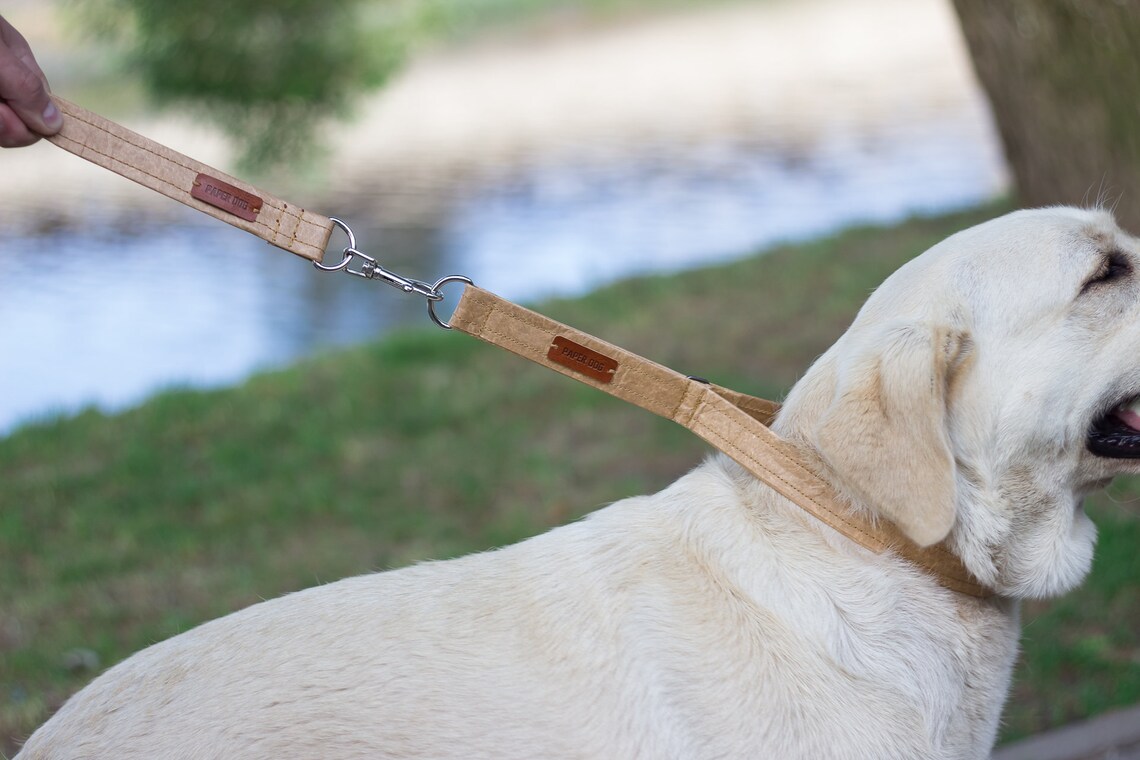 Dog Leash and Collar. Dog Collar and Leash Set. Dog Mom Gifts. Etsy