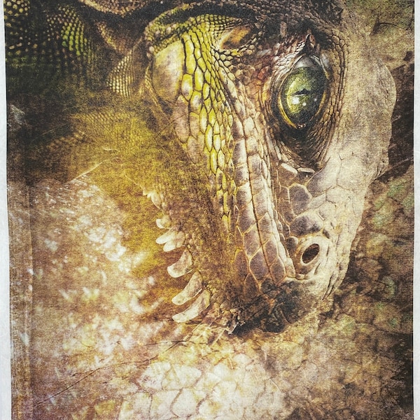 Rice paper for decoupage,  forest, owl, undiscovered magical world - dragon, dragon skin, eye, dragon scale, golden dragon