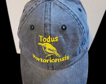 Todus Portoricensis Bird