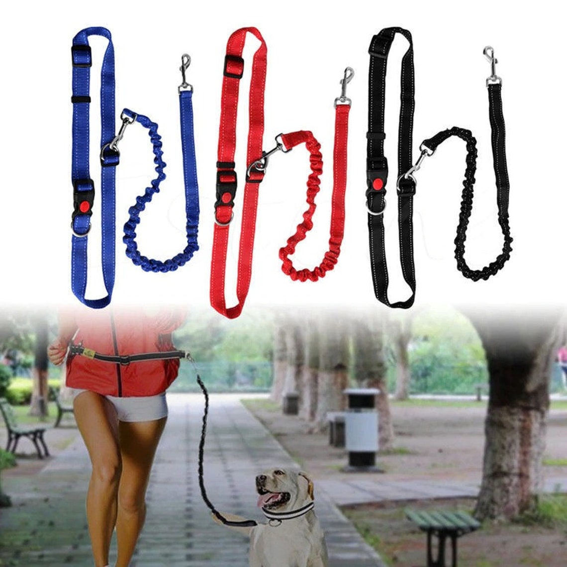 Sicherheit Jogging Hund Leine Taille Bungee elastische Band Etsy