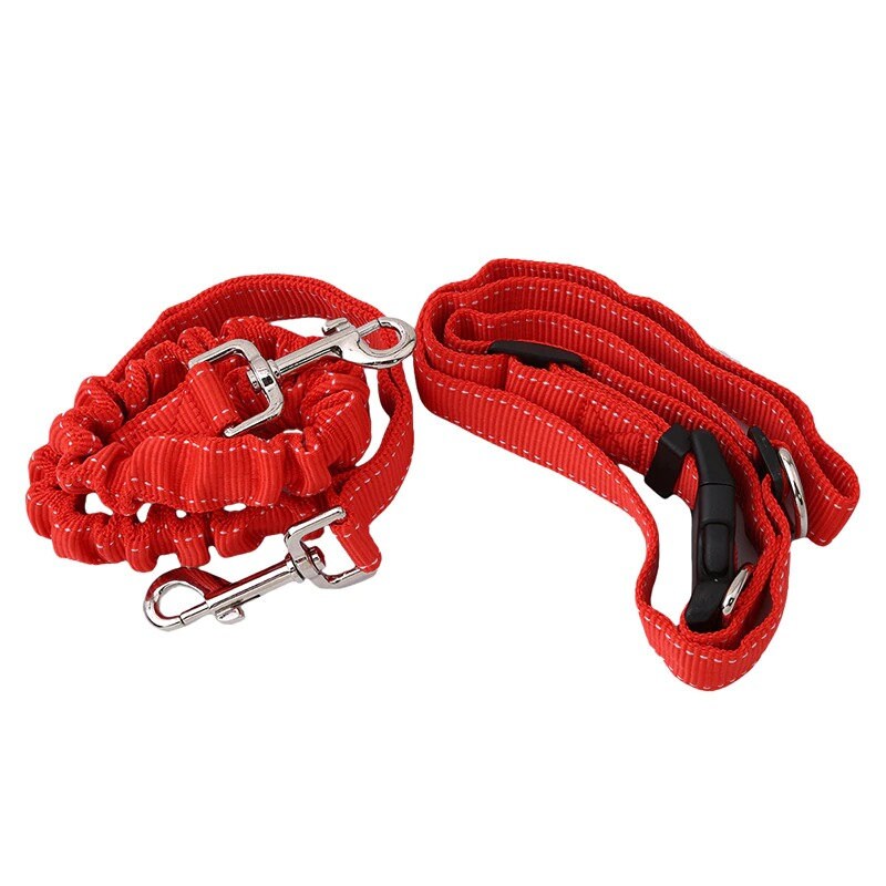 Sicherheit Jogging Hund Leine Taille Bungee elastische Band Etsy