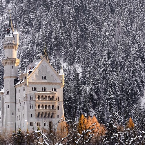 Burning Trees, Neuschwanstein Castle  - Fine Art Photography Print - Lustre Paper Print, Canvas Wall Art, Metal Wall Art