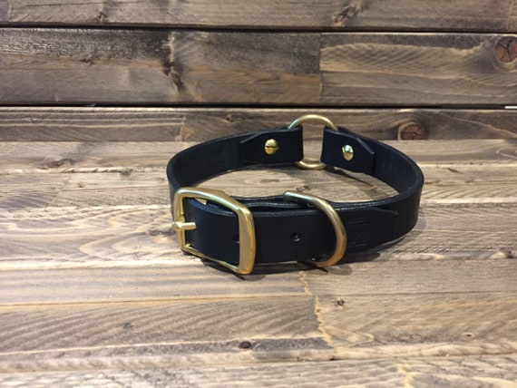 o ring dog collar