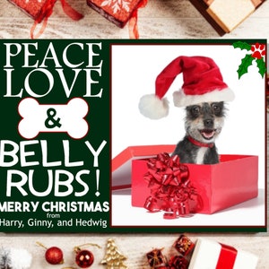 Pet Christmas Card, Personalized Custom Pet Photoshopped Christmas Card. Send me a picture of your pet and I do the rest!