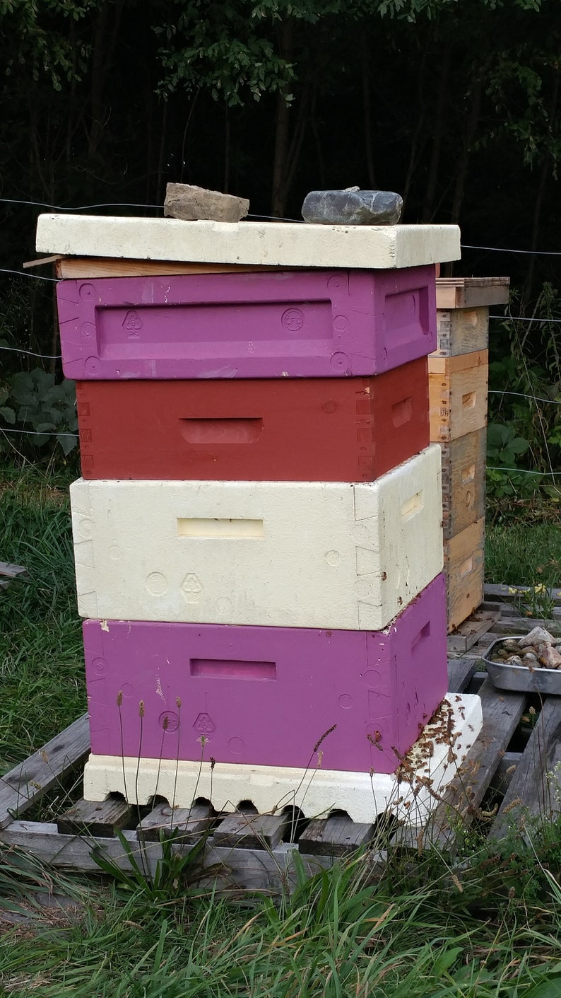 Beeswax Cutting Board Conditioner Etsy