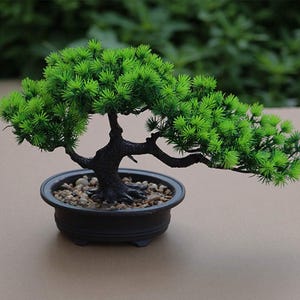 May include: A small green artificial bonsai tree in a black ceramic pot with small white stones. The tree has a thick trunk and many branches.