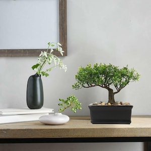 May include: A decorative arrangement featuring a small bonsai tree in a black rectangular pot with pebbles, a dark green vase with white flowers, and a white, oval-shaped vase with green berries. The items are on a wooden surface.