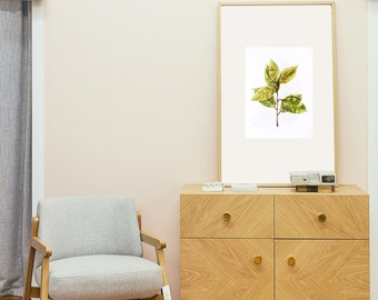 Bay leaves. Watercolor botanical illustration. Digital print PNG. Printable Wall Art, Flower Print, Instant Download, Botanical Print