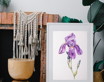 Iris. Watercolor botanical illustration. Digital print PNG. Printable Wall Art, Flower Print, Instant Download, Botanical Print