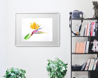 Strelitzia. Watercolor botanical illustration. Digital print PNG. Printable Wall Art, Flower Print, nstant Download, Botanical Print